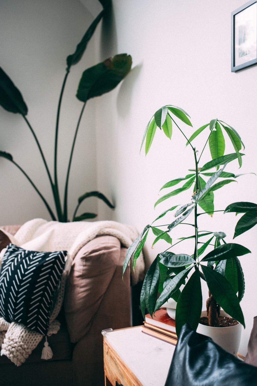 The Cozy Home Trend Taking Over Pinterest Right Now