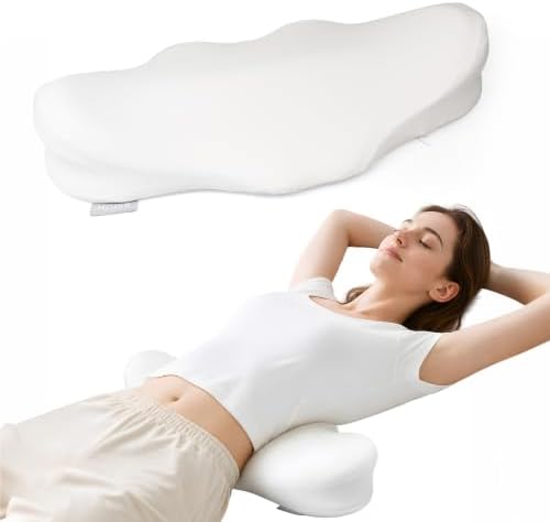SMDR High Lumbar Support Pillow, Dual-Wing Memory Foam Back Cushion by Unknown