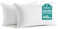 Oubonun 14 x 22 Throw Pillow Inserts by Oubonun