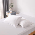 Bella Coterie | Luxury Bamboo Viscose Queen Size Pillowcase Set by BC