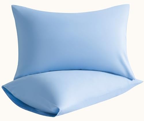King Pillow Cases, 2 Pack, 20x36 in, Microfiber, Sky Blue by Aerlomi