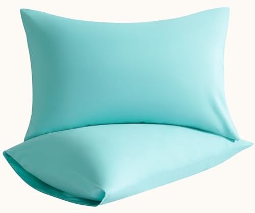 Standard Pillow Cases, 2 Pack, 20x26 in, Microfiber by Aerlomi