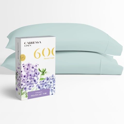 Carressa Linen 100% Egyptian Cotton Pillow Cases Queen Size Set of 2 - Luxury 600 Thread Count Sea Foam Standard/Queen Size Pillowcases, Silky Soft, Cooling Sateen Weave Hotel Quality Pillow Cover