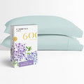 Carressa Linen 100% Egyptian Cotton Pillow Cases Queen Size Set of 2 - Luxury 600 Thread Count Sea Foam Standard/Queen Size Pillowcases, Silky Soft, Cooling Sateen Weave Hotel Quality Pillow Cover