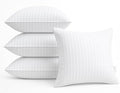 Oubonun 18 x 18 Throw Pillow Inserts Set of 4 by Oubonun
