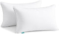 Oubonun 20"x30" Decorative Bed Pillow 2 Pack, 100% Cotton Cover Living Room by Oubonun