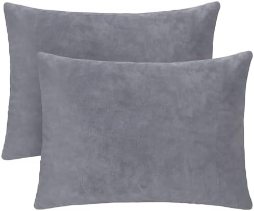 1 MIDDLE ONE 2 Pack Small Pillow, 16 X 12 Inches, Memory Foam Mini Pillow by 1MIDDLEONE