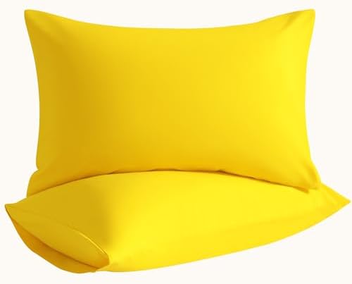 Queen Pillow Cases, 2 Pack, 20x30 in, Microfiber by Aerlomi