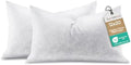 12x20 Feather Lumbar Pillow Insert Set of 2, Decorative Throw Pillow Insert by Swandream