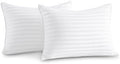 Oubonun 12 x 16 Throw Pillow Inserts Set of 2 by Oubonun