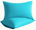 Queen Pillow Cases, 2 Pack, 20x30 in, Microfiber by Aerlomi