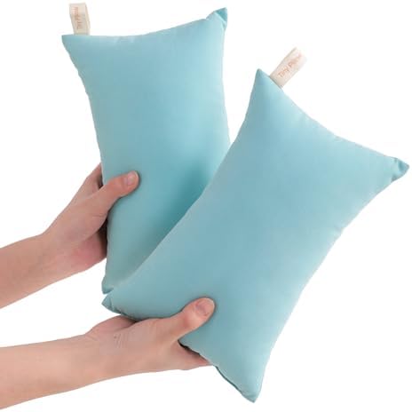 NTBAY Tiny Pillows, Down Alternative 7"x11" Microfiber Mini Pillow by NTBAY