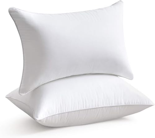 Oubonun 16 x 24 Pillow Inserts by Oubonun