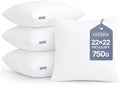 Leeden 22x22 Throw Pillow Inserts Set of 4, Pillow Forms by LEEDEN