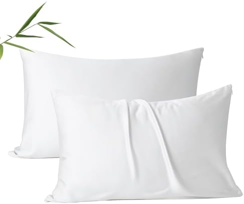 2 Pack Cooling Pillow Cases, Viscose Derived from Bamboo Pillow Protectors King by ShunjieHome