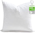TOPGREEN Organic Feathers Down Euro Pillow Inserts 30x30 by TOPGREEN