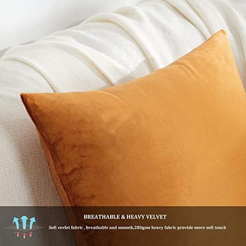 GIGIZAZA Decorative Throw Pillow Covers 16 x 16, Cinnamon Orange Soft Pillow - Image 5