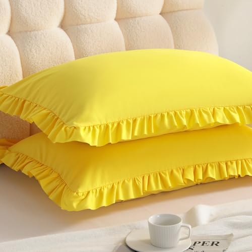 Ruffled Queen Pillow Shams, 2 Pack, 20x30 Inches by Aerlomi
