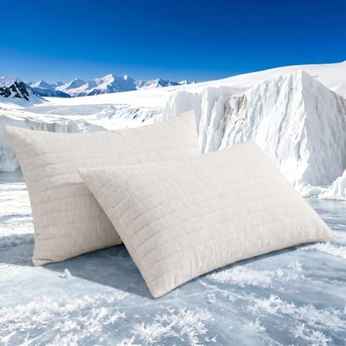 Swift Home Cooling Pillow Cases Standard Size Set of 2 by SWIFTHOME