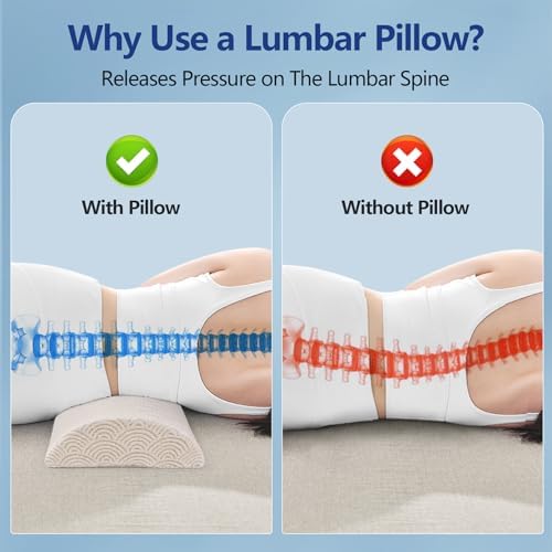 Cozyhealth - 3.15"H*23.6"L - Soft Lumbar Pillow - Image 6