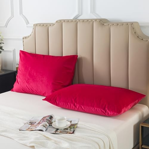 H HOUSEHOLD Set of 2 Velvet Queen Size Pillowcase, Soft and Cozy Luxury Fuzzy - Image 3