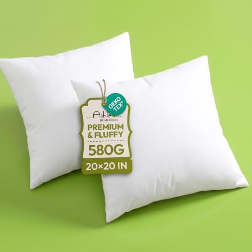 Ashler 20x20 Pillow Inserts, Decorative Throw Pillows by AshlerHomeDeco