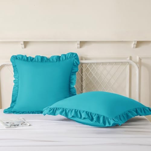 KKJIAF 2 Pack Ruffle Pillow Cases 24x24 Inches - Image 4