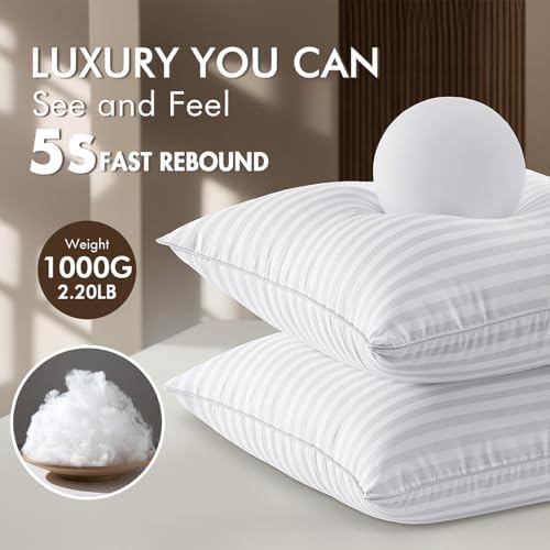 MIULEE 24x24 Pillow Inserts - Image 2