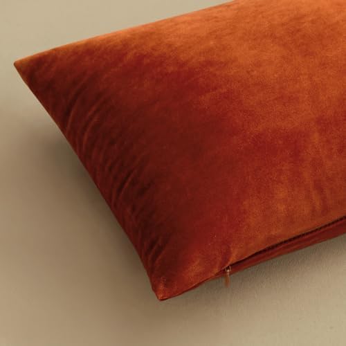 MIULEE 24x24 Inch Pack of 2 Euro Fall Velvet Pillow Covers Burnt Orange - Image 6