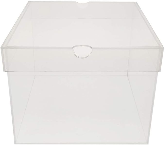 OnDisplay Luxury Acrylic Shoe Box - Clear Lucite Shoebox with Lid (Long)