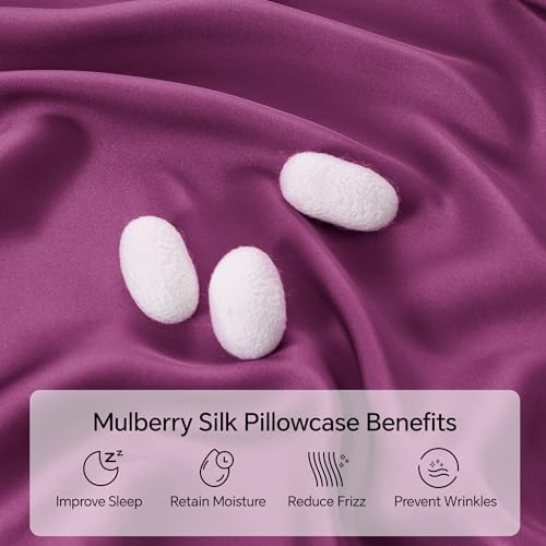 INFIIXSO Silk Pillow Cases Queen Size Set of 2, Hidden Zipper - Image 2