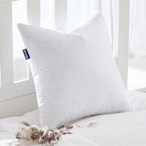 MIULEE Feather Euro Pillow Insert 28x28, Throw Pillow by MIULEE