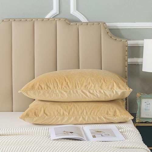 H HOUSEHOLD Set of 2 Velvet Queen Size Pillowcase, Soft and Cozy Luxury Fuzzy - Image 2