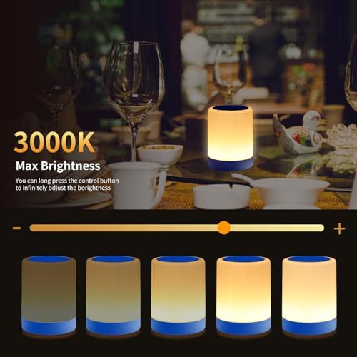 OORUN Touch Bedside Table Lamp,13 RGB Colors & 5 Brightness, USB Rechargeable Desk Lamp, Remote Control Dimmable Night Light with RGB Color Changing,Portable Lamp for Baby, Bedroom, Living Room (Blue) - Image 4