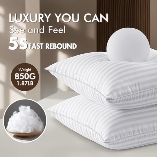MIULEE Pack of 4 20x20 Pillow Inserts, Firm and Fluffy Throw Pillows - Image 2