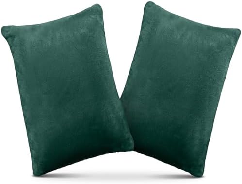 1 MIDDLE ONE 2 Pack Small Pillow, Memory Foam Mini Pillow 11 X 7 Inches by 1MIDDLEONE
