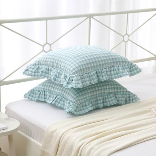 Mywinlle Dusty Blue Plaid Throw Pillow Shams - Image 6