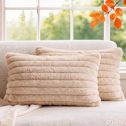 Set of 2 Decorative Throw Pillow Covers 20x12, Faux Fur Apricot by MEGAYESHome