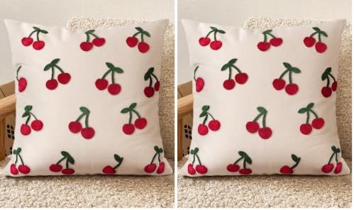 Embroidered Throw Pillow Cover 18x18 Inch by Kokaaee