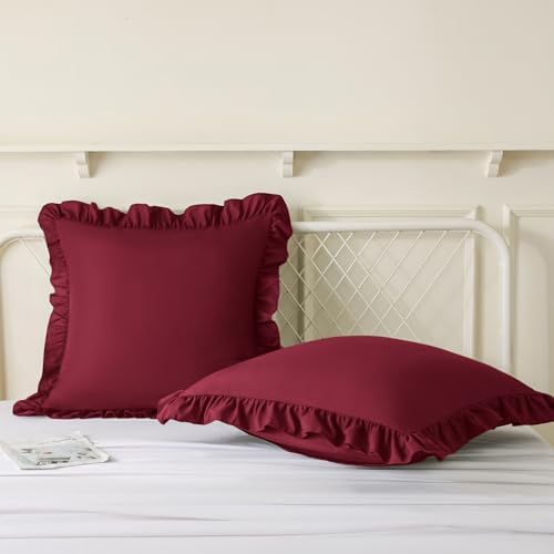 KKJIAF 2 Pack Ruffle Pillow Cases 20x20 Inches - Image 4