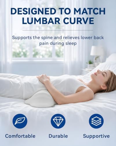 SMDR High Lumbar Support Pillow, Dual-Wing Memory Foam Back Cushion - Image 4