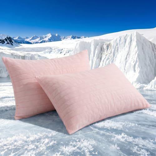 Swift Home Cooling Pillow Cases Standard Size Set of 2 by SWIFTHOME