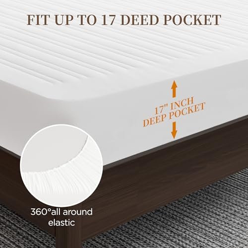 Texciting Heated Mattress Pad Queen Size, Bed Warmer - Image 6
