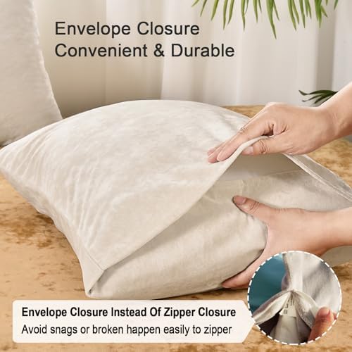 PHF Truly Velvet Pillowcases Standard Size 20" x 26", No Insert - Image 4