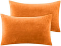 BEDELITE Flannel Pillowcases Standard Set of 2, Burnt Orange, 20x26 Inches by BEDELITE