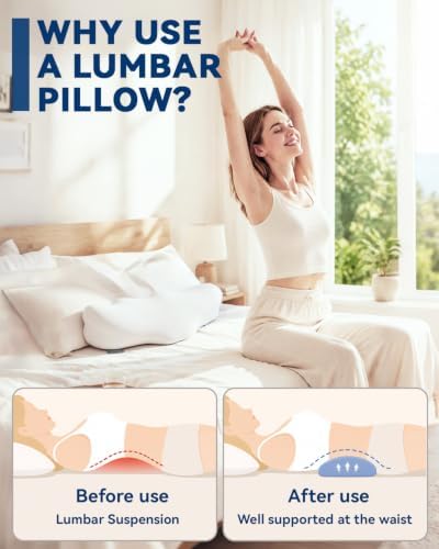 SMDR High Lumbar Support Pillow, Dual-Wing Memory Foam Back Cushion - Image 2