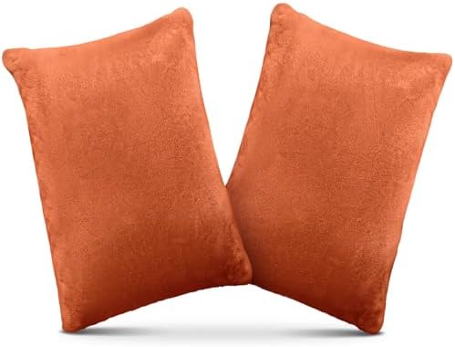1 MIDDLE ONE 2 Pack Small Pillow, Memory Foam Mini Pillow 11 X 7 Inches by 1MIDDLEONE