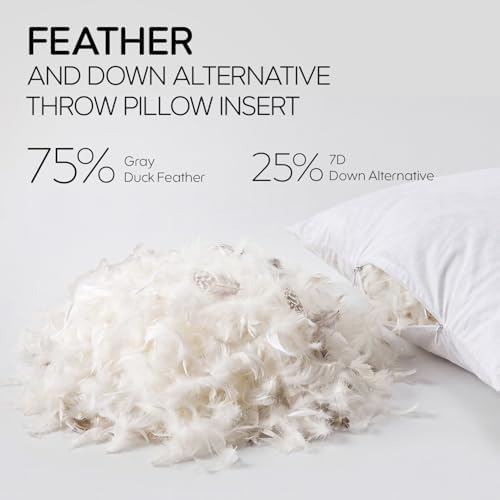 12x20 Feather Lumbar Pillow Insert Set of 2, Decorative Throw Pillow Insert - Image 6