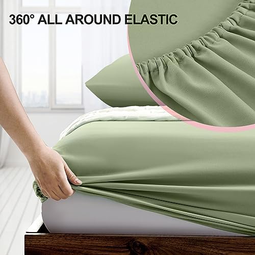 FreshCulture Queen Fitted Sheet Only - Image 3