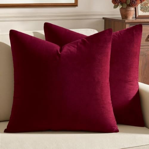 MIULEE 24x24 Inch Pack of 2 Euro Velvet Throw Pillow Covers Wine Red by MIULEE
